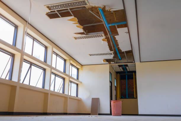 Best Water damage mitigation services  in Las Vegas, NM