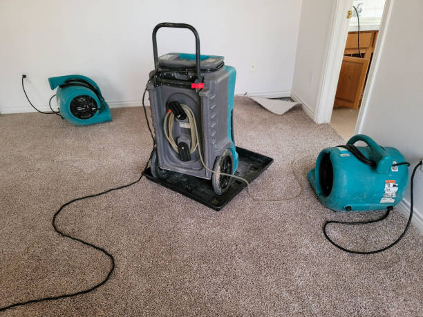 Best Fire Damage Restoration  in Las Vegas, NM
