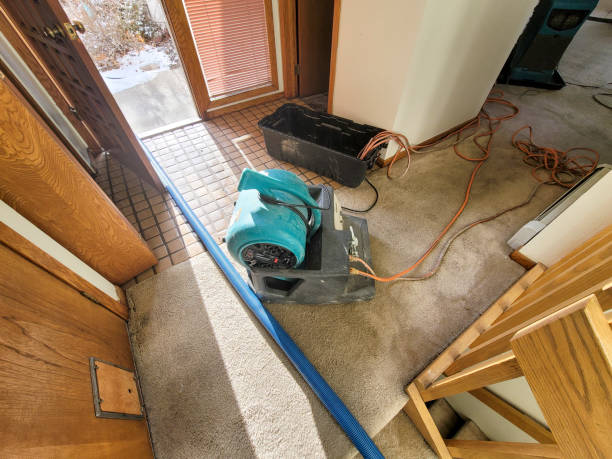 Best Mold removal after water damage  in Las Vegas, NM