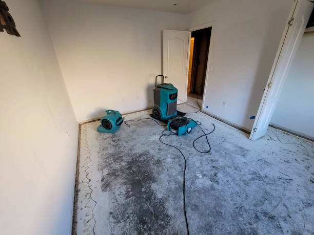 Best Emergency water damage restoration  in Las Vegas, NM