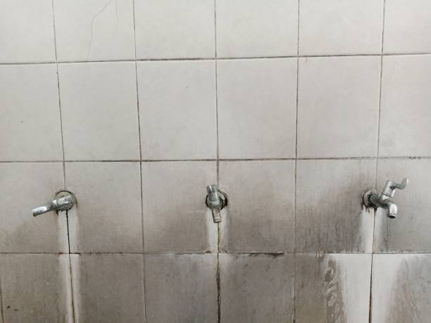 Best Flood restoration services  in Las Vegas, NM