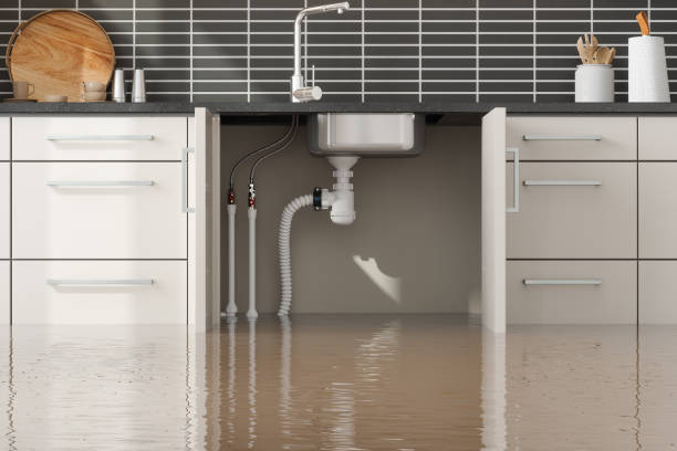 Best Sewage cleanup and water damage restoration  in Las Vegas, NM
